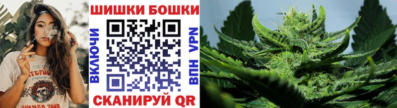 Бошки марихуана план  OMG вход  Тавда  darknet формула  закладка 